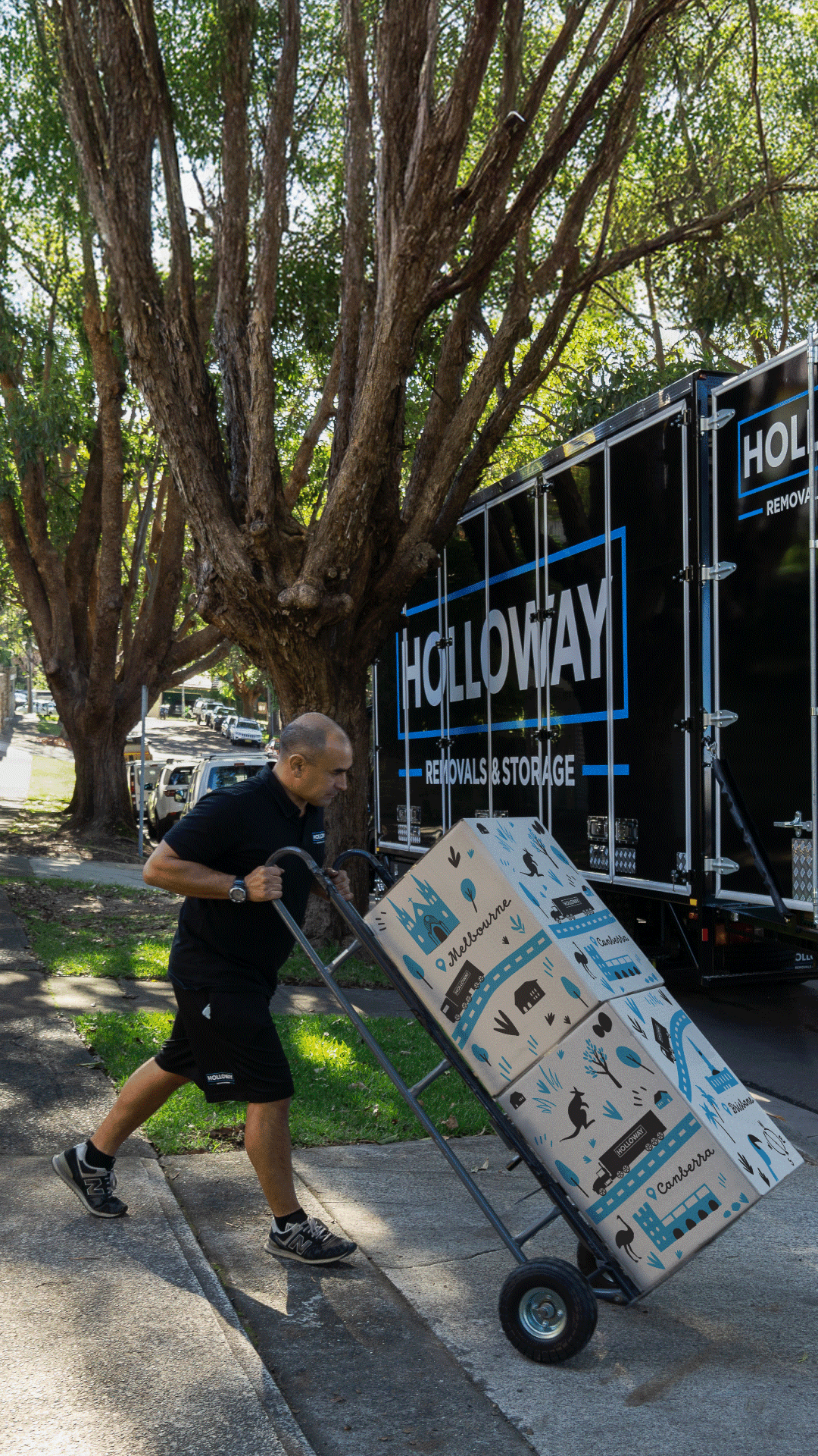 Premium Removal Services