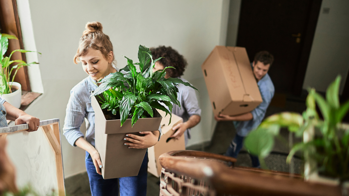 How to Move Plants Interstate Australia: A Full Guide