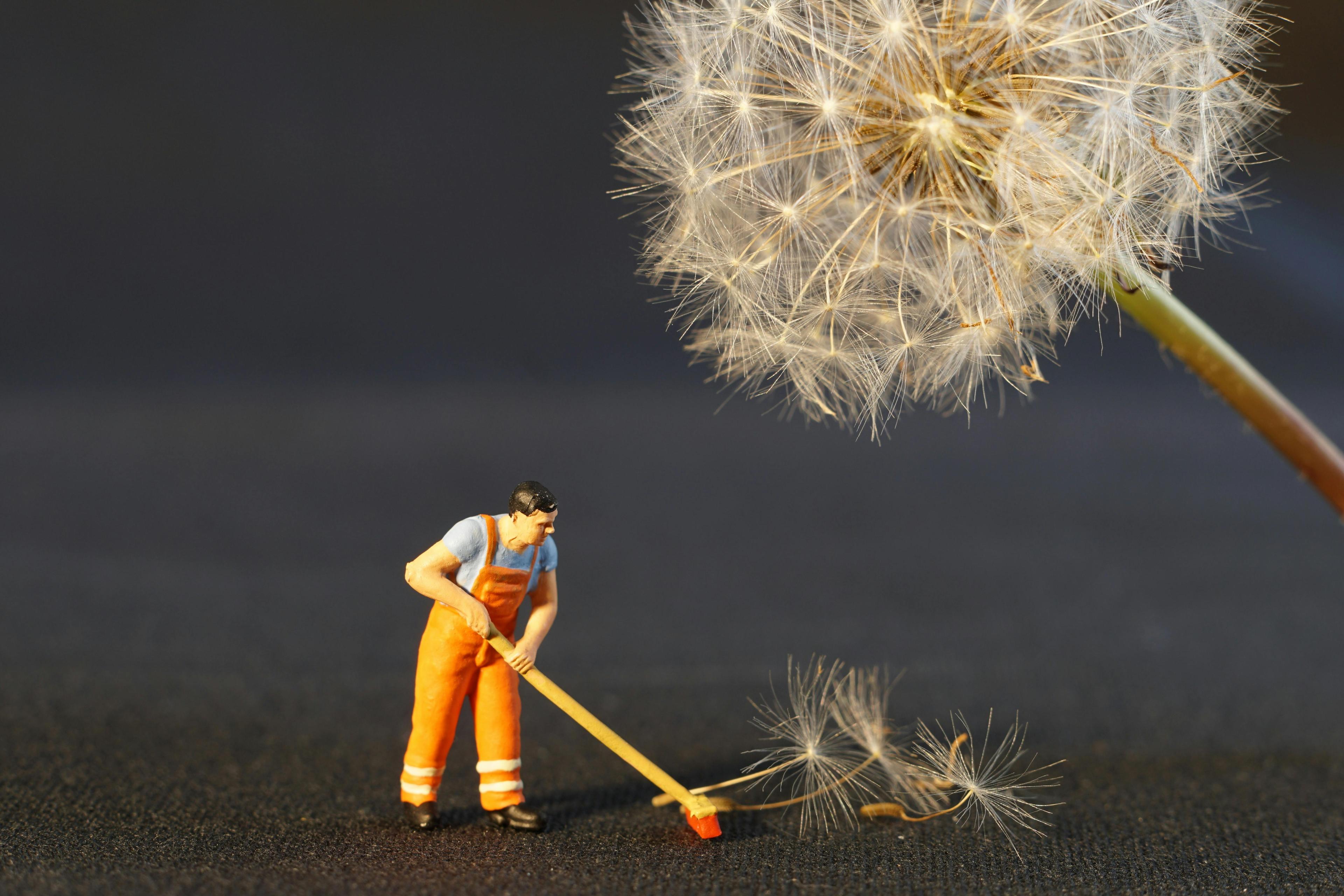 mini figurine of a man sweeping next to a dandelion